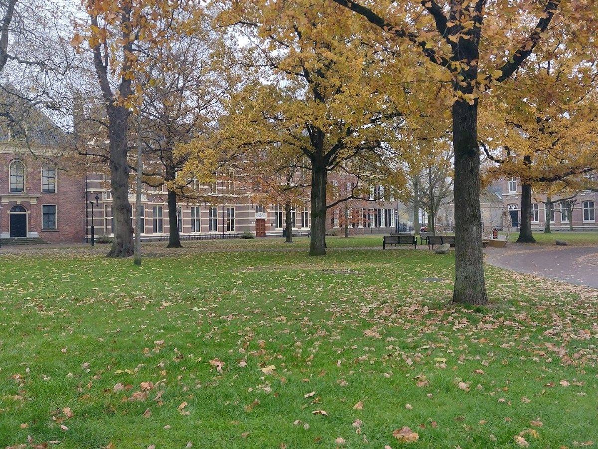 De Grote Kerk en het kasteel van Assen weerspiegeld in het water